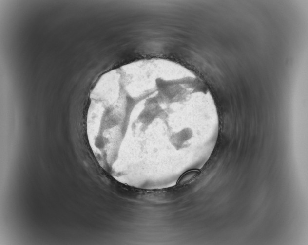 X0000093521201200711091733