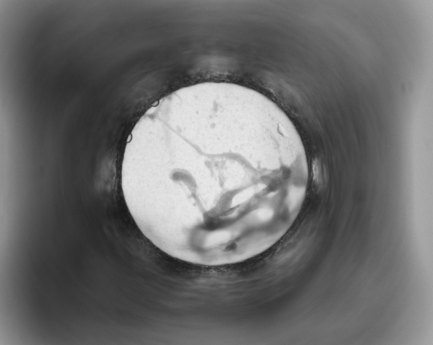 X0000093521203200711091733