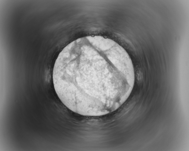 X0000093521204200711091733