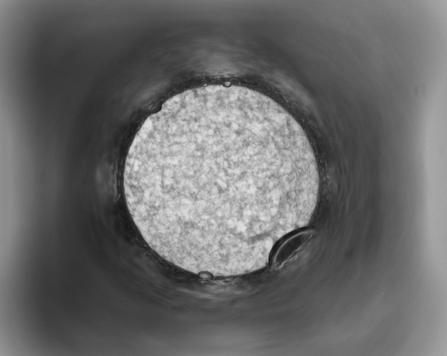 X0000093521205200711091733