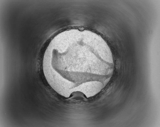 X0000093521208200711091733