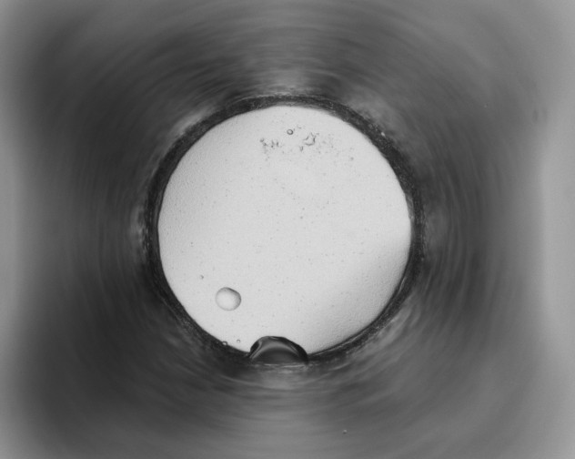 X0000093521210200711091733