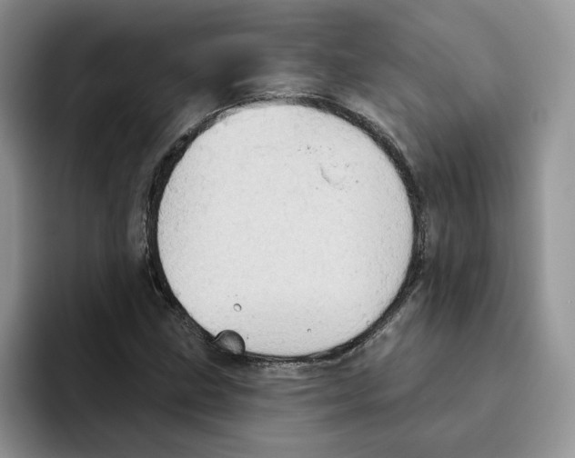 X0000093521211200711091733