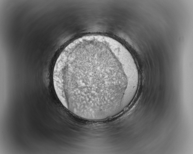 X0000093521213200711091733