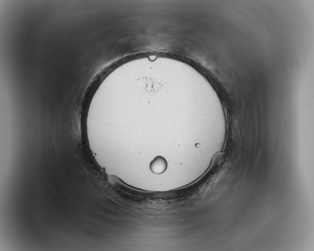 X0000093521214200711091733