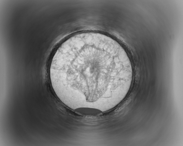 X0000093521215200711091733