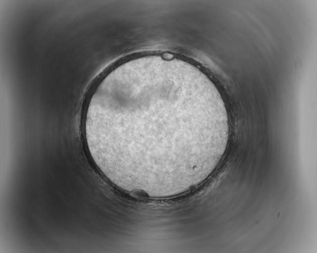 X0000093521216200711091733