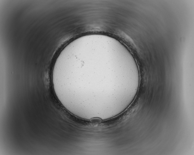 X0000093521218200711091733