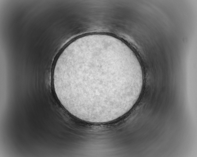 X0000093521220200711091733