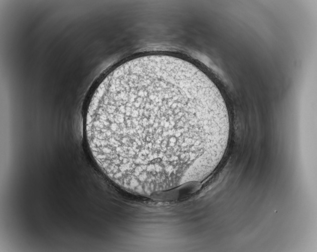 X0000093521221200711091733