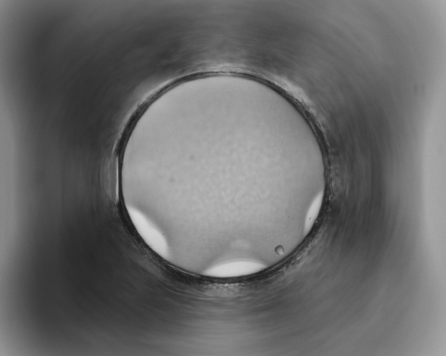 X0000093521223200711091733