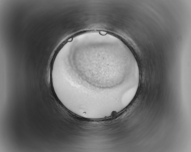 X0000093521224200711091733