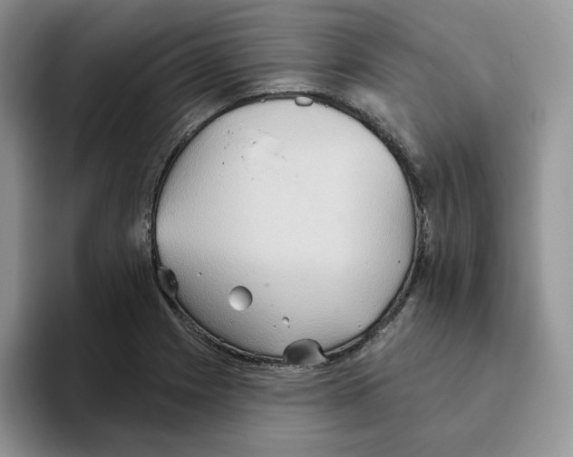 X0000093521225200711091733