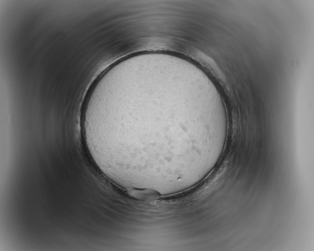 X0000093521226200711091733