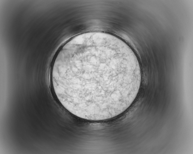 X0000093521227200711091733