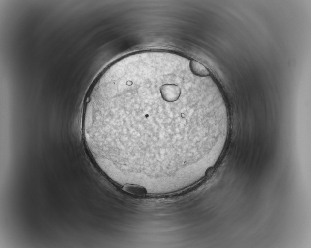 X0000093521228200711091733