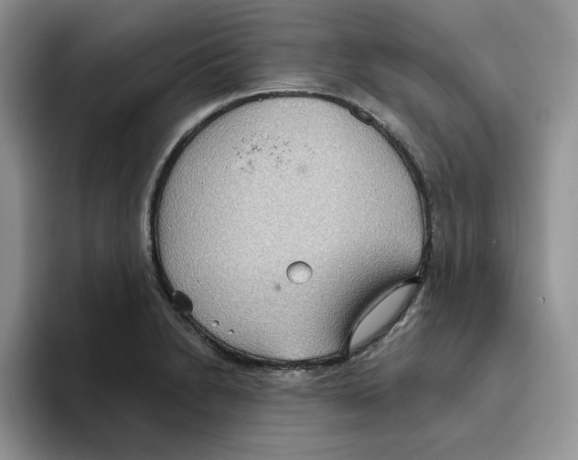 X0000093521230200711091733