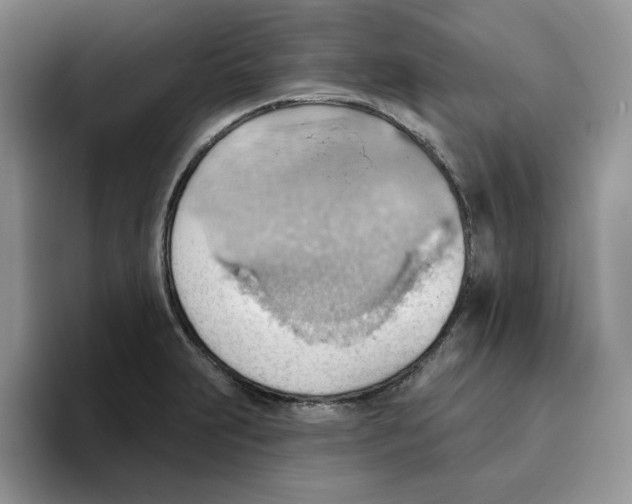 X0000093521231200711091733