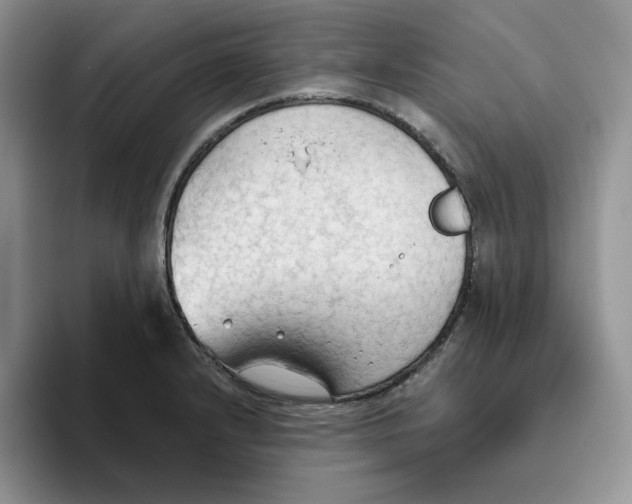 X0000093521232200711091733