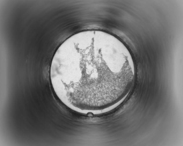 X0000093521233200711091733