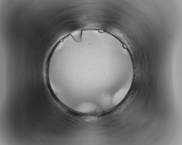 X0000093521235200711091734