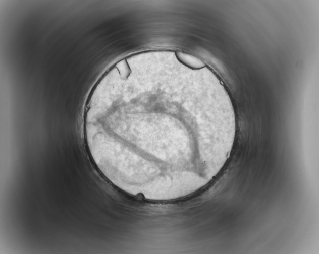 X0000093521236200711091734