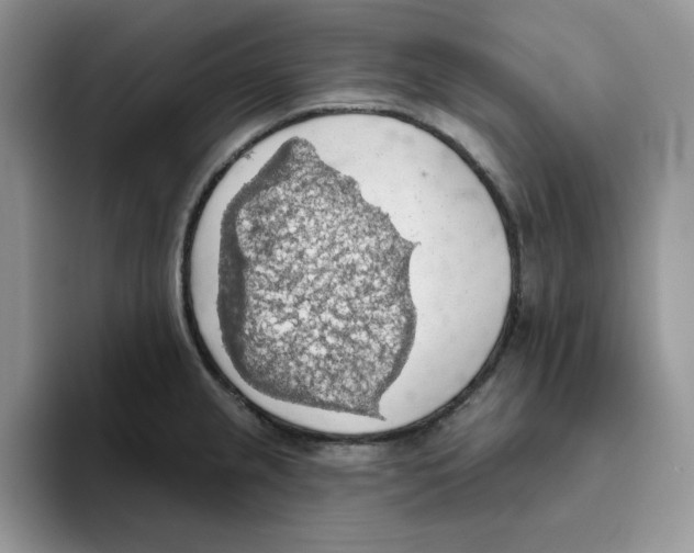 X0000093521237200711091734