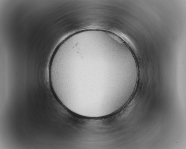 X0000093521238200711091734