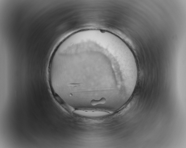 X0000093521239200711091734