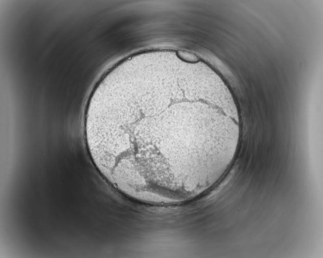 X0000093521240200711091734