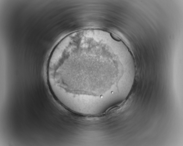 X0000093521243200711091734