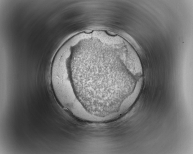 X0000093521244200711091734