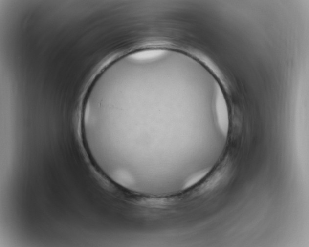 X0000093521245200711091734