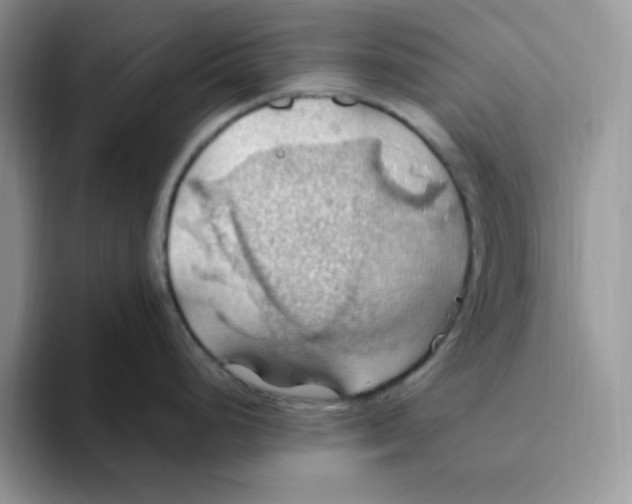 X0000093521248200711091734