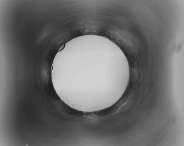 X0000093521250200711091733