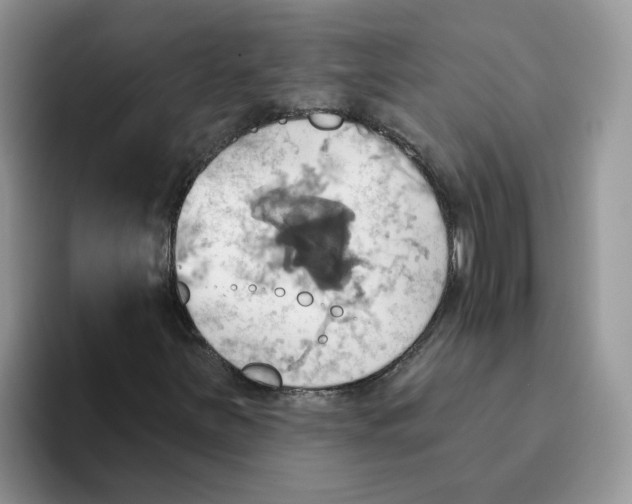 X0000093521251200711091733