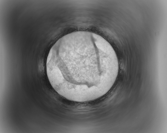 X0000093521252200711091733