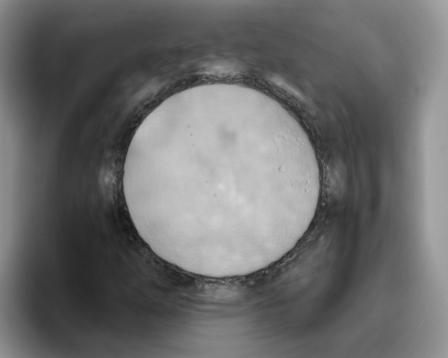 X0000093521254200711091733