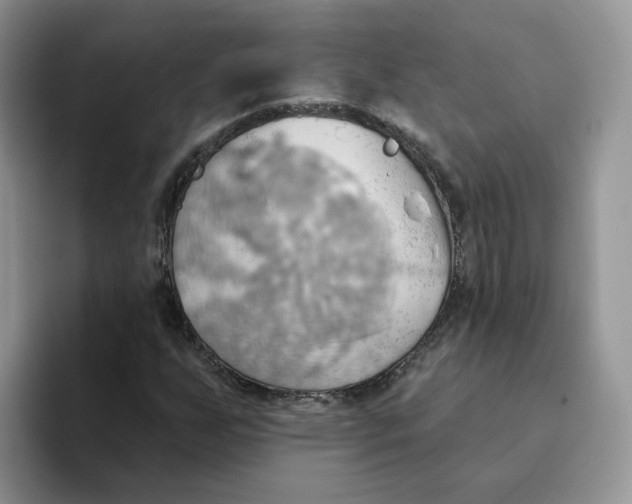 X0000093521255200711091733