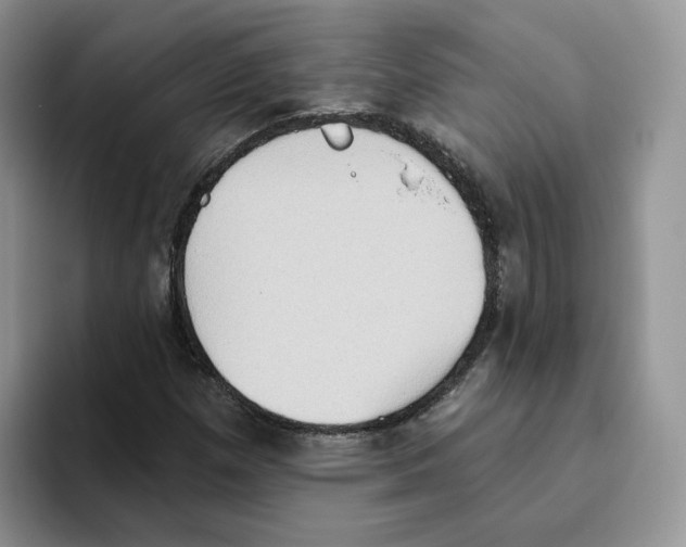 X0000093521257200711091733