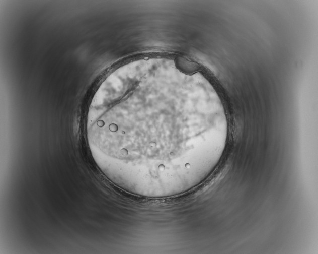 X0000093521259200711091733