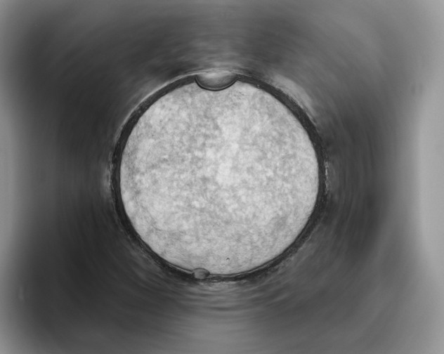 X0000093521260200711091733