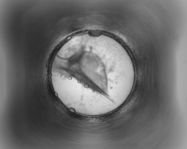 X0000093521263200711091733