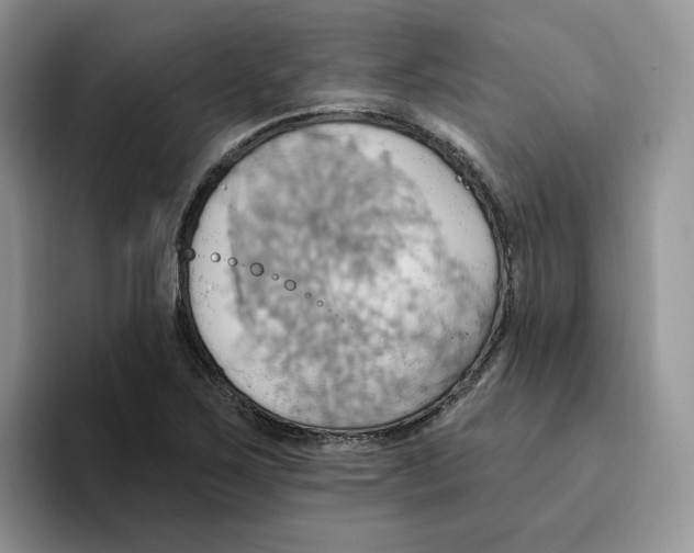 X0000093521267200711091733