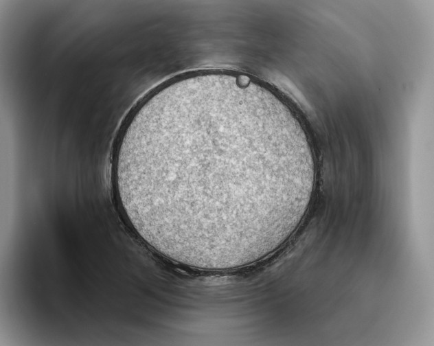 X0000093521268200711091733