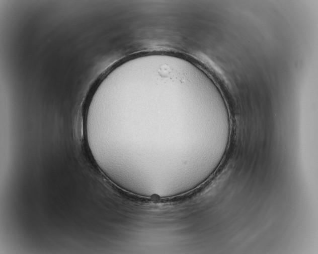 X0000093521269200711091733