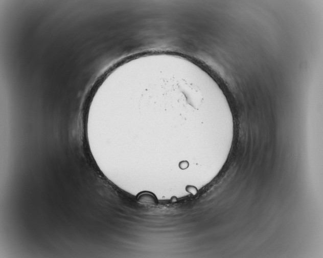 X0000093521270200711091733