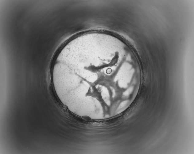 X0000093521271200711091733