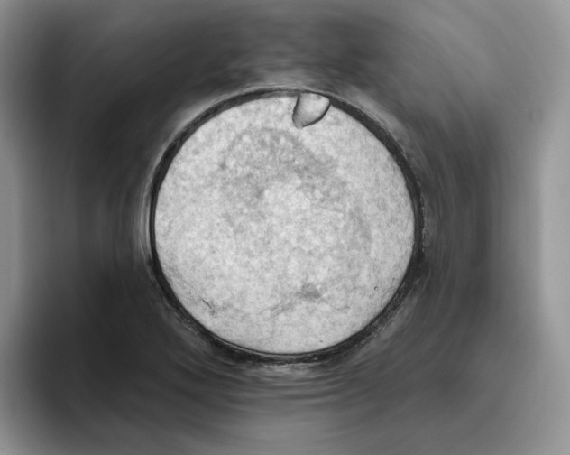 X0000093521272200711091733