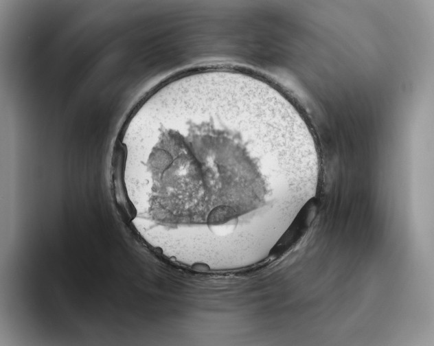 X0000093521279200711091733